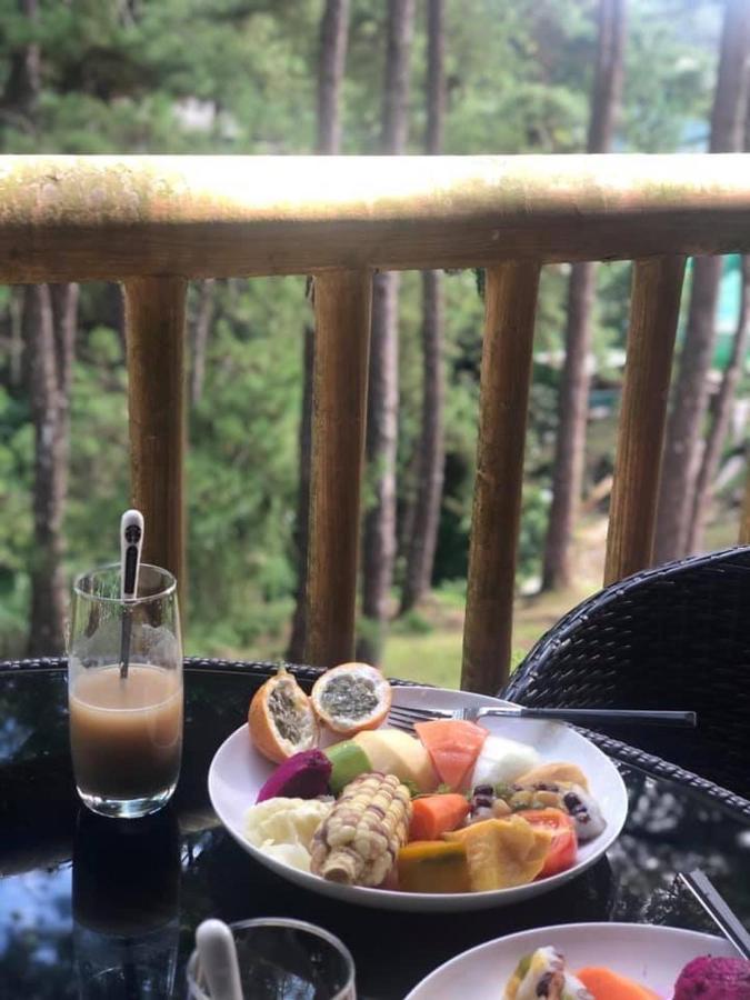 バギオ Campjohnhay Forest Estateヴィラ エクステリア 写真
